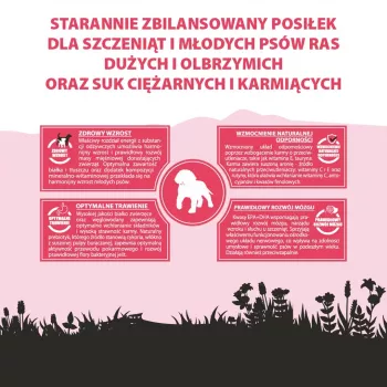 PUPIL Premium Junior lielo un ļoti lielo šķirņu kucēniem, bagātināta ar liellopu gaļu - sausā suņu barība - 12kg