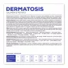 VET EXPERT Veterinary Diet Dermatosis Dog Salmon & Potato - sausā suņu barība - 12 kg