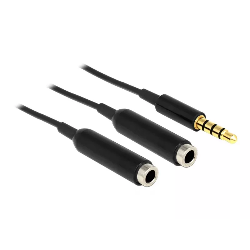 Audio kabelis DeLOCK 65575 0,25 m 3,5 mm 2 x 3,5 mm melns