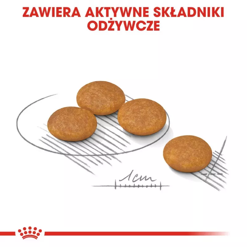 ROYAL CANIN Mini Dermacomfort - sausā barība pieaugušiem mazo šķirņu suņiem ar jutīgu, kairinājumam pakļautu ādu - 3 kg