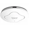 Piekļuves punkts Draytek VIGOR AP 912C 1200 Mbit/s divjoslu Wi-Fi 802.11ac
