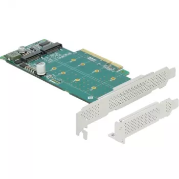 DeLOCK PCI Express x8 karte ar 2 iekšējiem NVMe M.2 Key M slotiem, bifurkācija, zema profila formas faktors