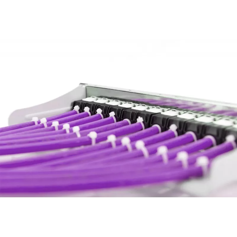 DIGITUS - Bulk kabelis - 100,0m - UTP - CAT 6 - Violet (DK-1613-VH.1)