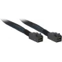 Inter-Tech - iekšējais SAS kabelis - SAS 12Gbit/s - 4x Mini SAS HD (SFF-8643) uz 4x Mini SAS HD (SFF-8643) - 1,0m - melns/zils (88885006)