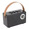 Camry skaļrunis ar radio | CR 1902 B | 5 W | Bluetooth | Melns | Bezvadu savienojums