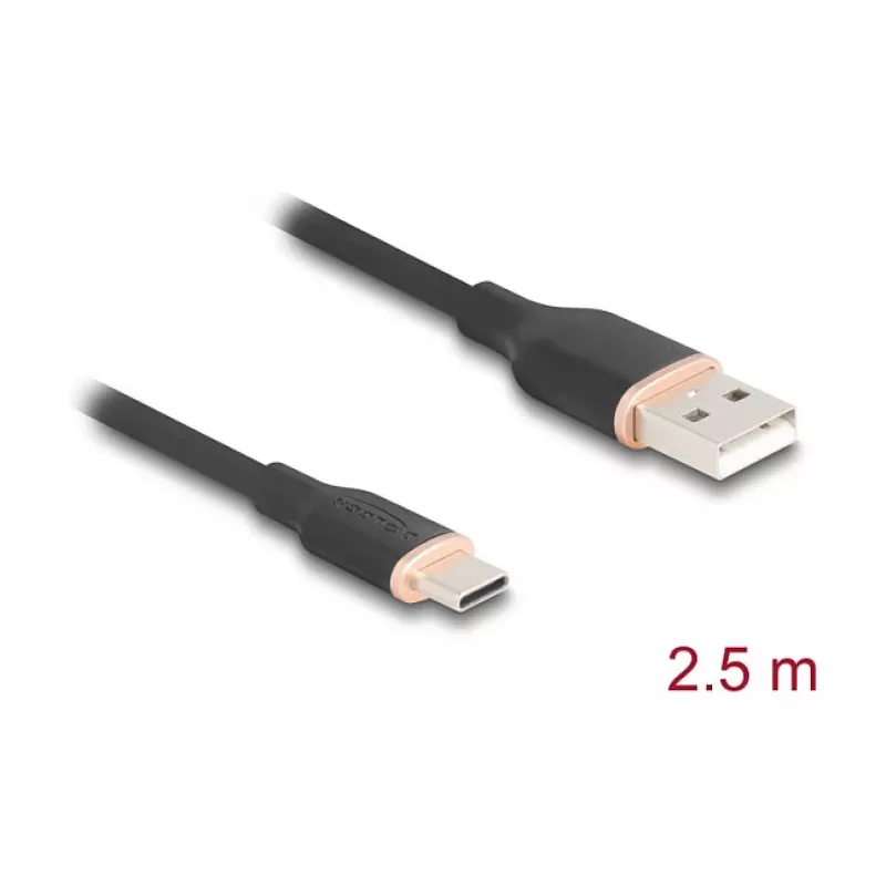 USB kabelis DeLOCK 81227 2.5m USB A USB C melns