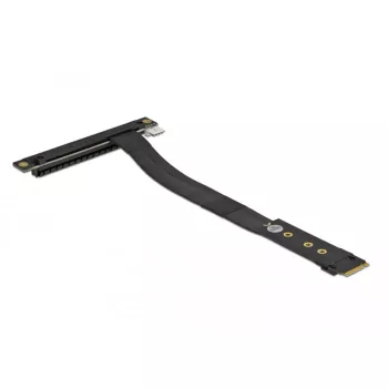 M.2 Key M uz PCIe x16 NVMe adapteris DeLOCK 64134
