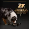 PURINA Pro Plan Everyday nutrition Visu izmēru pieaugušiem suņiem Turkey želejā - mitrā suņu barība - 400g