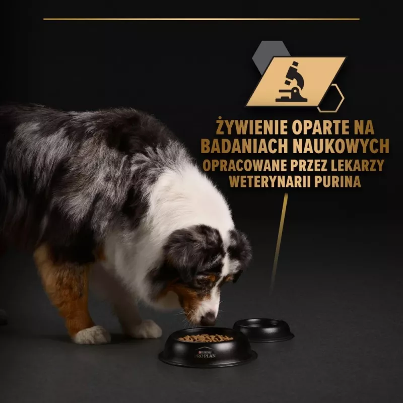 PURINA Pro Plan Everyday nutrition Visu izmēru pieaugušiem suņiem Turkey želejā - mitrā suņu barība - 400g