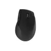 Bezvadu optiskā pele Acer Smart Fit HP.EXPBG.020 — 8000 DPI, USB un Bluetooth
