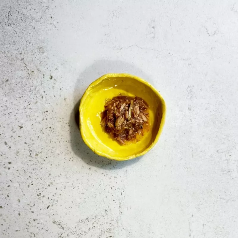 Ollo Tuncis ar anšovu buljonā Nr 9 70g