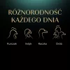 SHEBA Nature's Collection mājputnu garšu želejā - mitrā kaķu barība - 40 x 85g