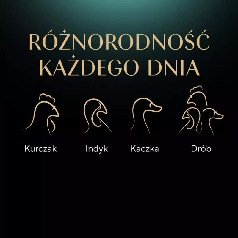 SHEBA Nature's Collection mājputnu garšu želejā - mitrā kaķu barība - 40 x 85g
