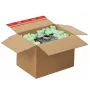 tidyPac putu plēksnes flo-pac Green 0,540 kg (SALF01.01.04)