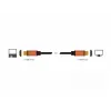 HDMI kabelis DeLOCK 85729 2 m HDMI Type A Standard Melns Gold