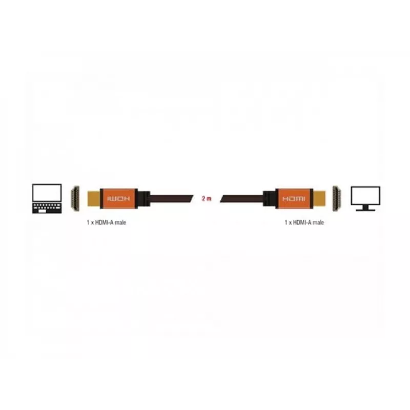 HDMI kabelis DeLOCK 85729 2 m HDMI Type A Standard Melns Gold