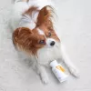 VET EXPERT Immune System - imunitāti atbalstošs preparāts suņiem un kaķiem - 30 kaps.