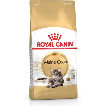 Sausā kaķu barība Royal Canin Maine Coon Adult 4 kg — vista, 31% proteīns, 20% tauki
