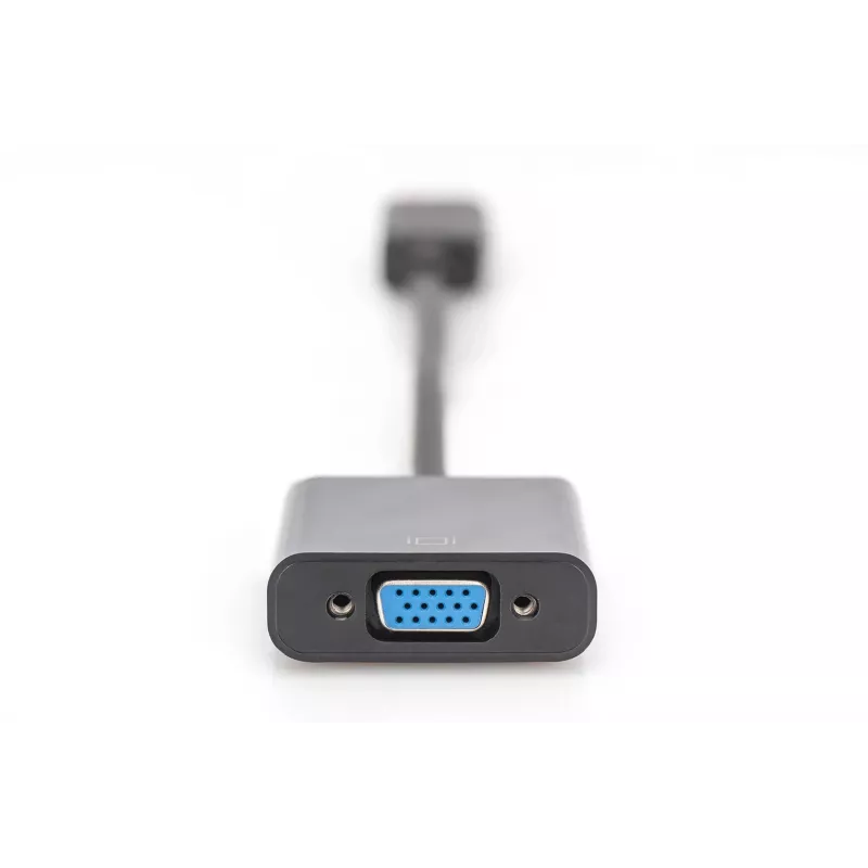 Digitus DisplayPort adapteris / pārveidotājs