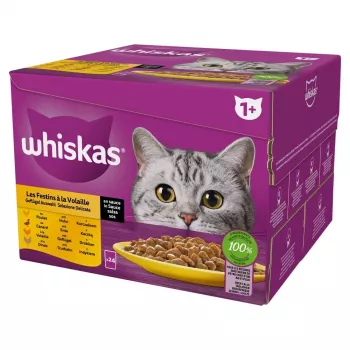 Mitrā kaķu barība Whiskas Mājputnu mielasts 24×85 g — pieaugušiem kaķiem, mājputnu (tītara), 24 paciņas