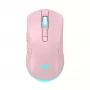 Pele Baracuda BGM-124 Turtle Pink TURTLE-P