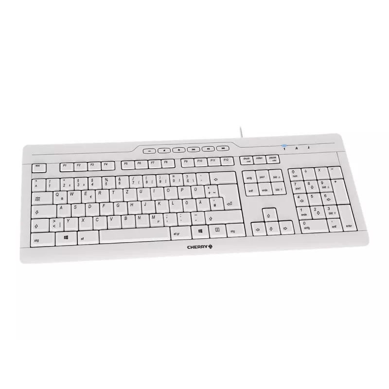 CHERRY STREAM 3.0 tastatūra Office USB Šveices pelēka