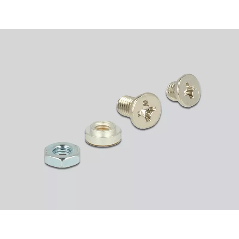Iekšējais M.2 adapteris DeLOCK 62865