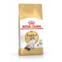 Sausā kaķu barība Royal Canin Ragdoll Adult 2 kg — vistas, 32% olbaltumvielu, 18% tauku