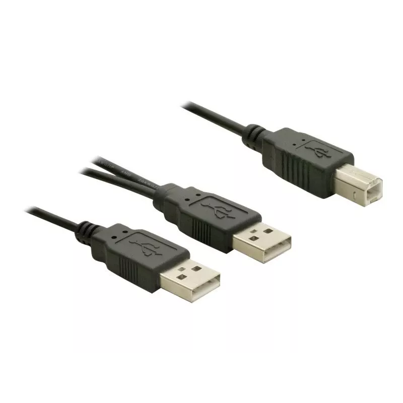 USB kabelis DeLOCK USB-B/USB-A kabelis 1 m melns