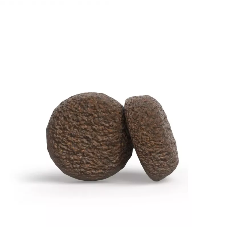 JOSERA YoungStar - sausā suņu barība - 12,5kg