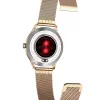 Viedpulkstenis MaxCom FW42 GOLD Gold