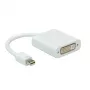 ROLINE Mini DisplayPort-DVI adapteris, Mini DP ST - DVI BU (12.03.3128)