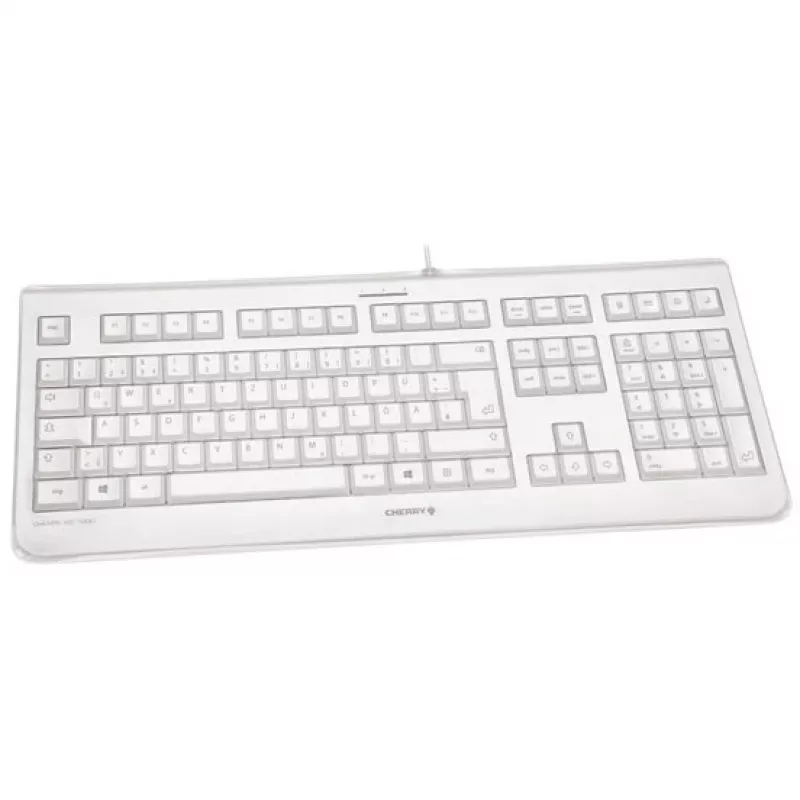 CHERRY KC 1068 tastatūra USB Šveices pelēka