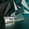 Galddatoru/serveru atmiņa PATRIOT Signature 16 GB DDR5 4800 MHz ECC 288-pin UDIMM 1,1 V