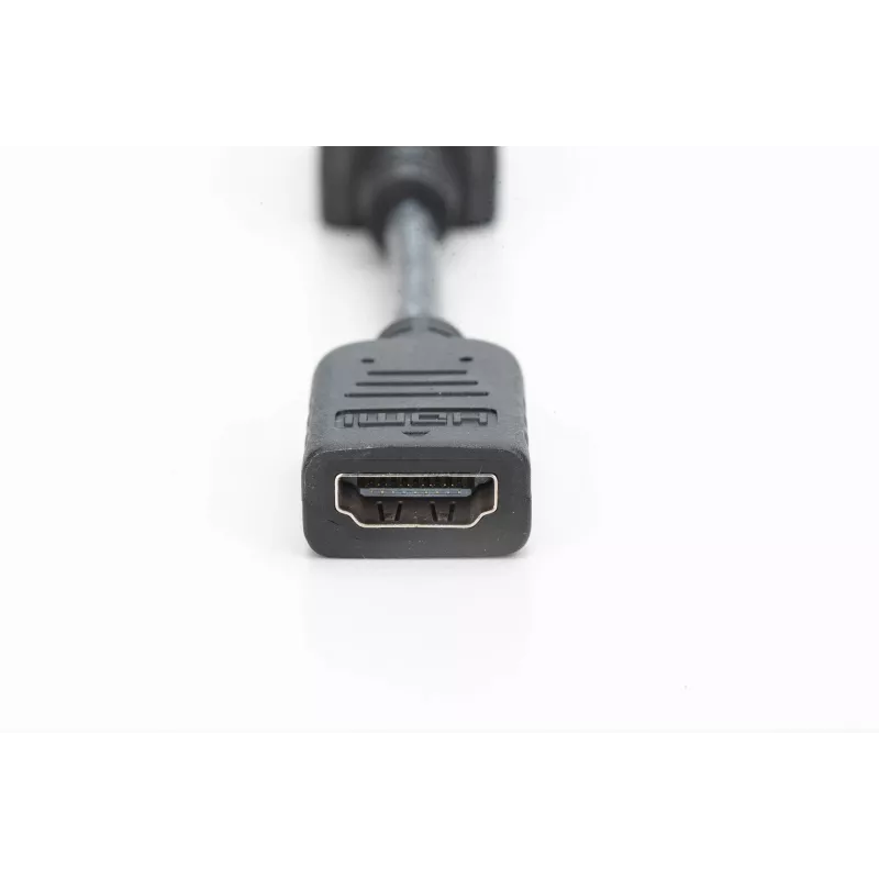 Digitus DisplayPort adapteris / pārveidotājs