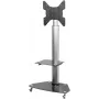 TV sienas stiprinājums SpeaKa Professional SP-TVRW-01 55 collu televizoriem, VESA 400x400 mm