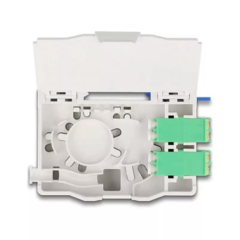 Delock 88098 Cietvielu disks