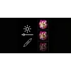 LED Neona spoguļa gaisma MANTA MASNL130PK Style Neon Lights BEAUTY, rozā akcents, dekoratīvs spoguļa apgaismojums