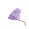 NATEC Crake 2 Pro pele universāla labā roka USB Type-A optiskā 12800 DPI