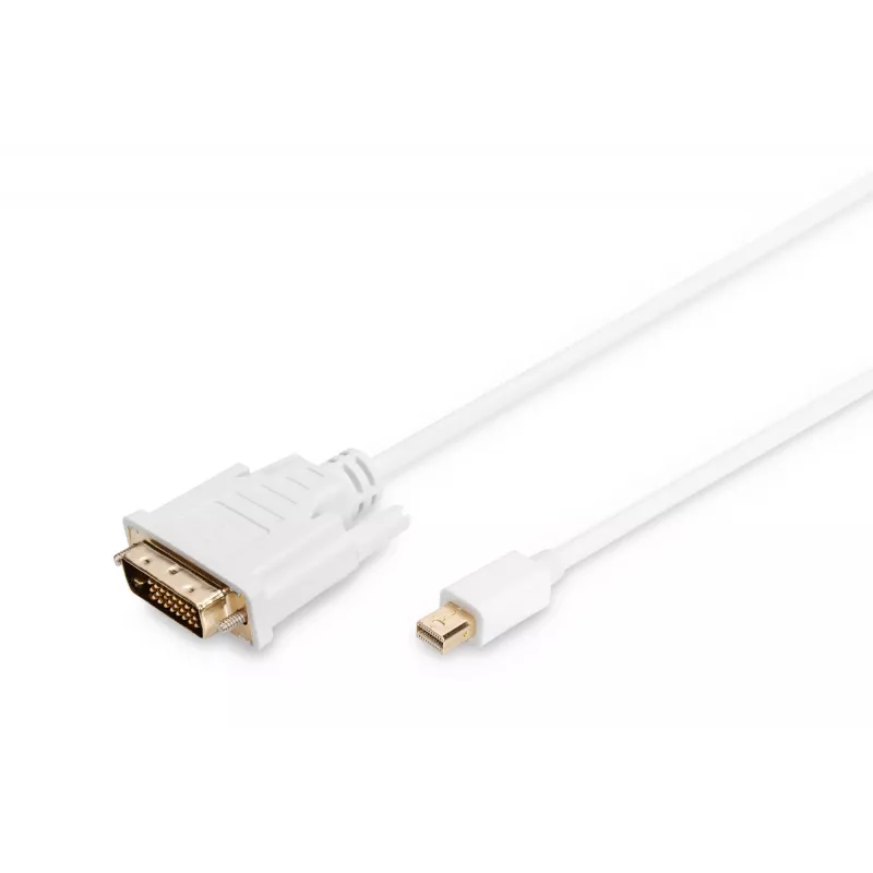 Kabelis DisplayPort 1.1a mini DP-DVI tipa MM 2,0m