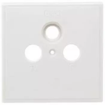 Axing SZU 2-01 kontaktligzdu pārsega plāksne - Izmēri 80x80 mm Piemērots BSD 963-xx (SZU 2-01)