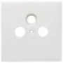 Axing SZU 2-01 kontaktligzdu pārsega plāksne - Izmēri 80x80 mm Piemērots BSD 963-xx (SZU 2-01)
