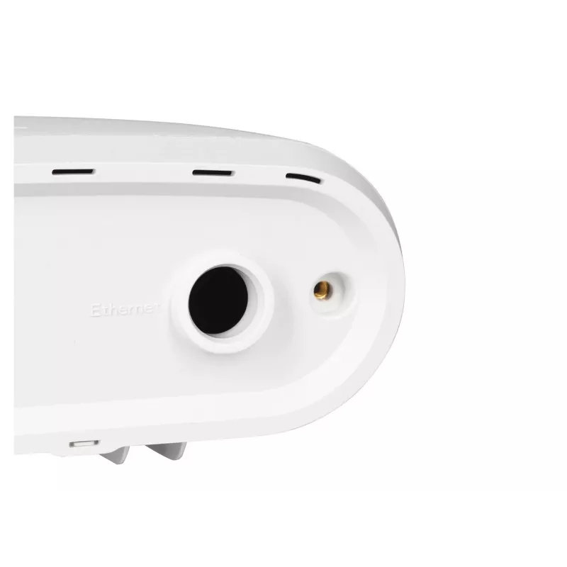 Zyxel ACCESSORY-ZZ0102F bezvadu piekļuves punkta aksesuārs WLAN piekļuves punkta aizsargvāciņš
