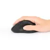 Manhattan Ergonomic Wireless pele, Right Handed, Adjustable 800/1200/1600dpi, 2.4Ghz (up to 10m), Six Button with Scroll Wheel, Combo USB=A and USB-C receiver, Melns, AA baterija (included), Three Year Warranty