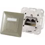 Kontaktligzda 2 x RJ-45 ShiverPeaks 74280-GR — Cat6a, 500 MHz, metāla korpuss, pelēks/sudrabots