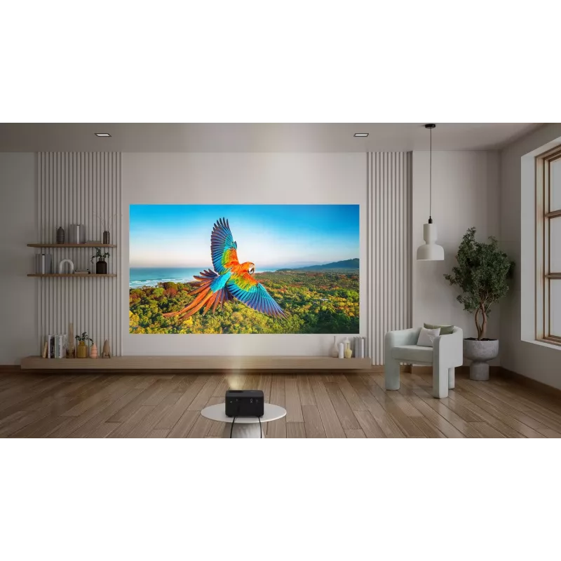 Optoma Photon Life PK32 standarta attāluma projektors 1100 ANSI lūmeni DLP UHD 4K (3840x2160) 3D Melns