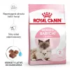 Sausā kaķu barība Royal Canin Mother & Babycat 2 kg — vista, grūsnām, laktējošām kaķenēm un kaķēniem (Junioriem)