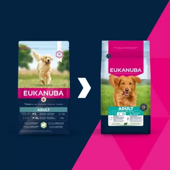 Sausā suņu barība EUKANUBA Adult Large Breed Lamb & Rice 12 kg – pilnvērtīga sausā barība pieaugušiem lielu un milzu šķirņu suņiem