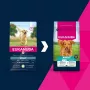 Sausā suņu barība EUKANUBA Adult Large Breed Lamb & Rice 12 kg – pilnvērtīga sausā barība pieaugušiem lielu un milzu šķirņu suņiem