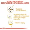 Sausā suņu barība Royal Canin Chihuahua Adult 1.5 kg — vista, 28% olbaltumvielu, mazo/īpaši mazo šķirņu suņiem